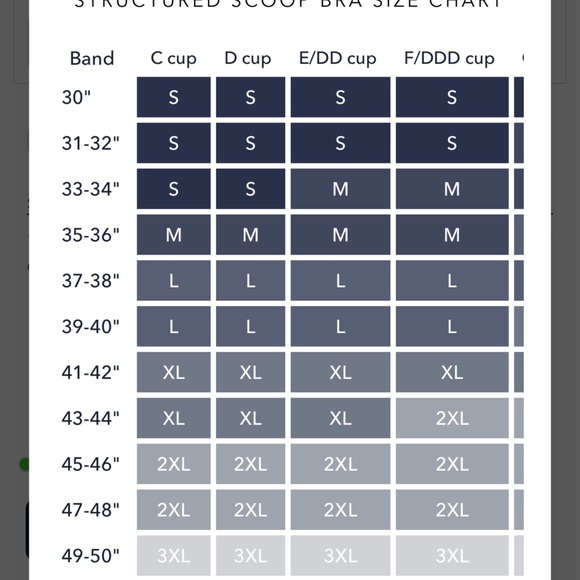 Evelyn and Bobbie Structured Scoop bra (M) - Picture 8 of 8
